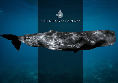 Ciento Volando